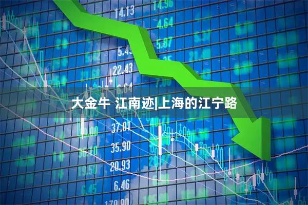 大金牛 江南迹|上海的江宁路
