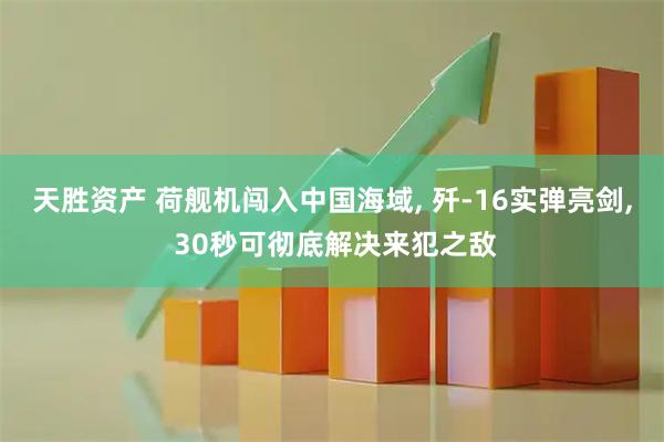 天胜资产 荷舰机闯入中国海域, 歼-16实弹亮剑, 30秒可彻底解决来犯之敌